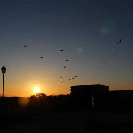 Isla Plana فندق