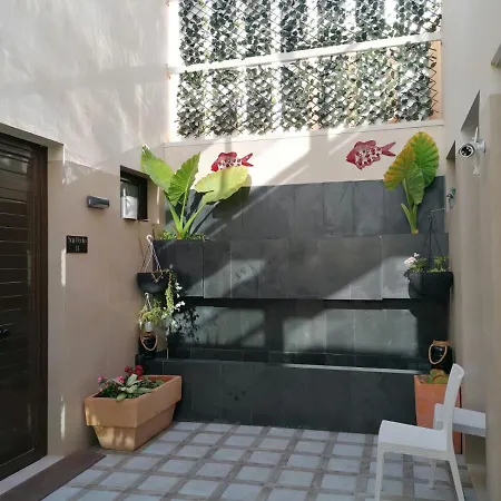 فندق Isla Plana تاباركا